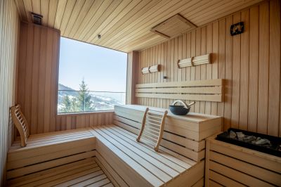 Modern Indoor Sauna